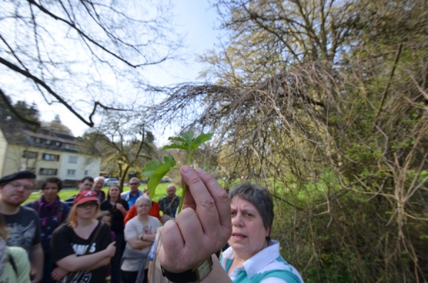 Elke Mauer bei der Kräuterwanderung in Rambach